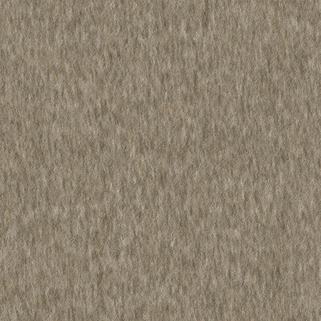Kanganäidis · 100% Vill