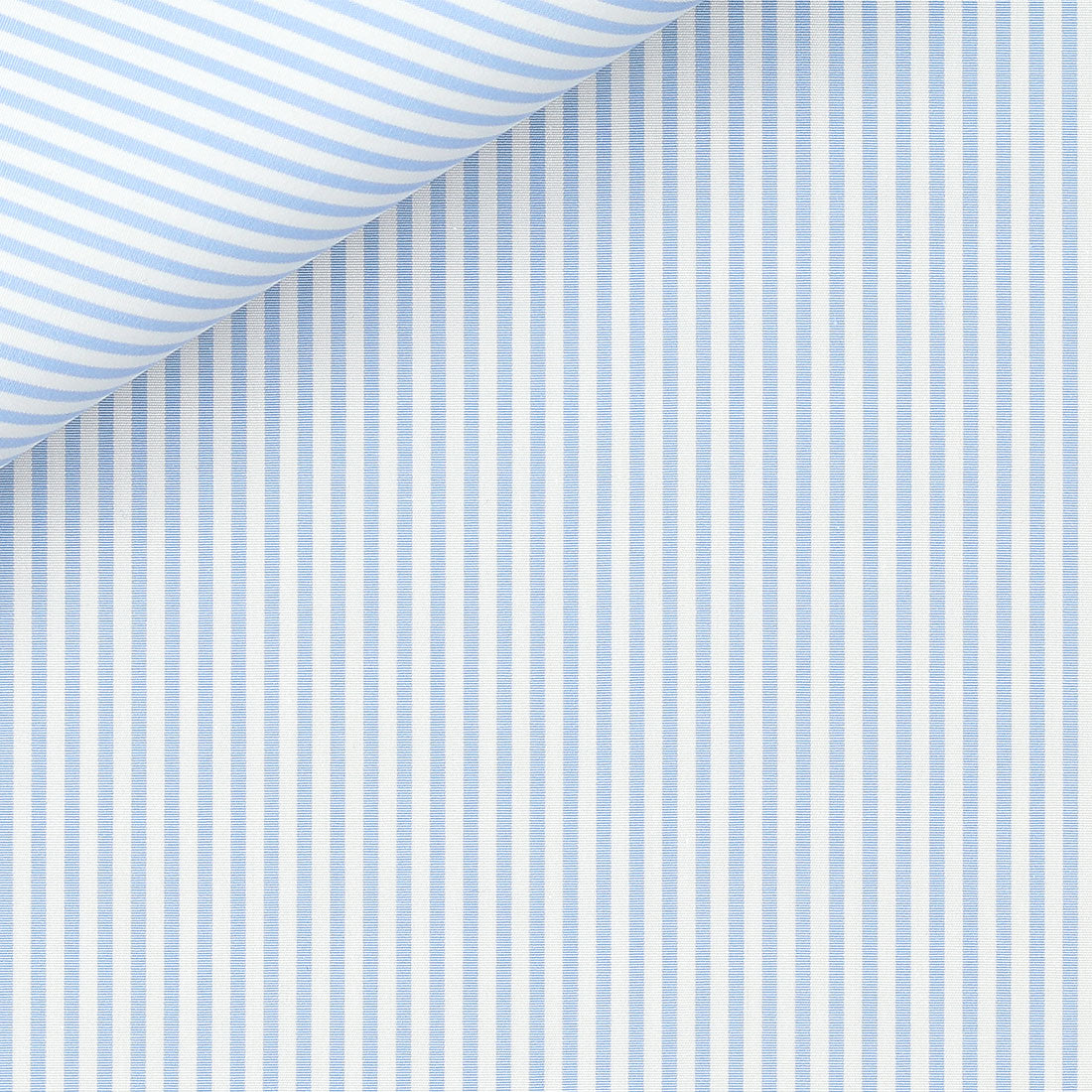 Shirt “SCALA” / Sancy cotton