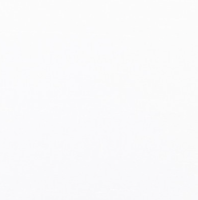 Skirt "DONNA MIDI" / Luxury Silk Shantung