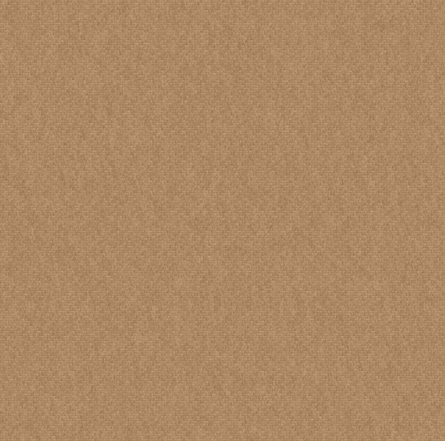Fabric sample · 100% Baby Camel Hair